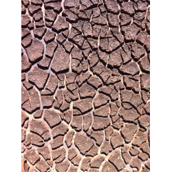 Agriculture et climat (sol)