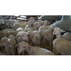 Optimiser l'accueil des nouveaux-nés