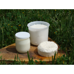 Mettre en place son plan de maîtrise sanitaire : HACCP et bonnes pratiques d'hygiène en produits laitiers