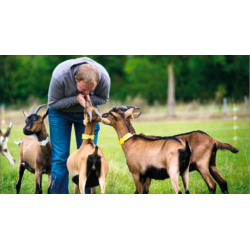 Boite à outils innovation : BICOSE - Bien vivre le bien-être animal