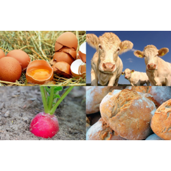 Boite à outils innovation : CECAFiTer, pour l'accompagnement des filières de proximité