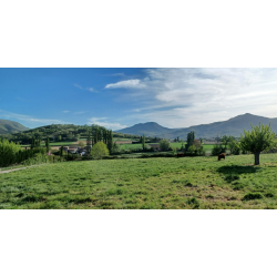  Elu Chambre d'agriculture,  pourquoi pas moi ? 