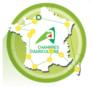 image-vignette-tour-de-France-témoins