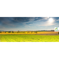 Test d'évaluation pour la certification Création ou reprise d'une entreprise agricole