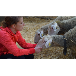 Facebook : Communiquer sur son métier d'agriculteur-