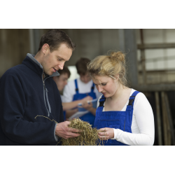 Evaluer et conforter ses compétences pour s'installer en agriculture