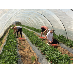 J'améliore le recrutement et le management pour des salariés motivés