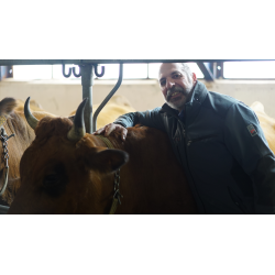 Vendre ses animaux (bovins) en anglais-